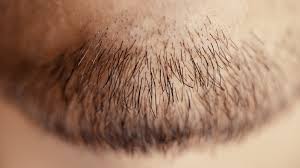 Eyebrows, instead, grow at a slower rate of 0,15 mm per day (i.e. Stages Of Hair Growth Plus How To Maintain Hair Health In Every Stage
