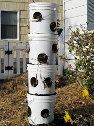 Discover how to turn various bottles and buckets into a tower garden from this diy vertical garden. Vertical Strawberry Planter Learn About Planting In Vertical Strawberry Towers