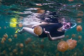 10 picturesque farms you can actually stay at 10 Of The World S Best Snorkeling Destinations Travel Smithsonian Magazine