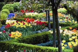Beautiful Gardens Google Search Most Beautiful Gardens Beautiful Gardens Garden Design