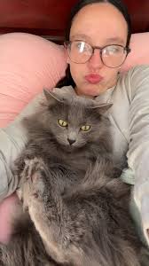 Let's welcome our new members to the family! ♥️💜 Terrin Stolley, Tamsin  Scott, Meow Meow, Daniela Olvera, Andrea Yancey, Jemala Sykes, Nikki Winer,  Aaron Weeks, Abby Elizabeth S, Wen Leelee, Heather Miller