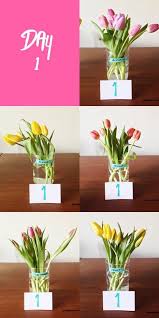 How long do flowers last in the fridge. We Tried It The Best Way To Keep Flowers Fresh Fresh Flowers Arrangements Flower Care How To Preserve Flowers