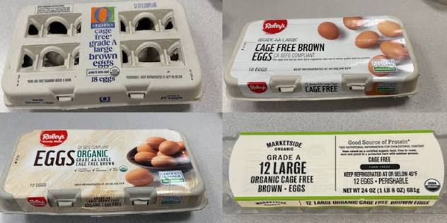 Eggs Recalled Salmonella: FDA Warns of High-Risk Outbreak Across Multiple States