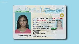The new licenses and ids have a gold star in the upper left hand corner as shown in the example below: Tennessee Real Id Everything You Need To Know Wbir Com
