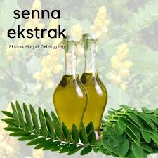 Daun stevia dapat menjadi pengganti gula untuk menangkal datangnya penyakit. Readystock Pati Minyak Gelenggang Ekstrak Daun Gelenggang Senna Ekstrak Shopee Malaysia