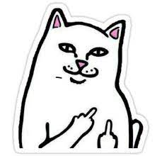 Funny Cat Sticker Cat Stickers Meme Stickers Print Stickers