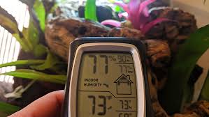 If you see the levels in the tank begin to drop, just thoroughly spray it down. How To Increase Humidity In A Terrarium Frogpets