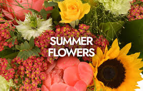 Check spelling or type a new query. The Flower Shop Littlehampton
