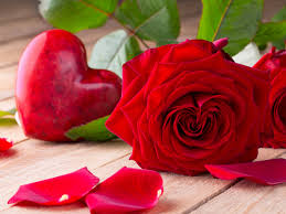 صور الورد اجمل باقات ورود هدية للاحباب حبيبي