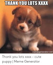 Thank you pug puppy dog blank note card. Thank You Lots Kxxk Memegeneratornet Thank You Lots Xxxx Cute Puppy Meme Generator Cute Meme On Me Me
