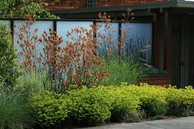 Today we are delighted to declare we have discovered an extremely interesting content to be reviewed. Privacy Trees And Shrubs Modern Landscaping Ideas Houzz