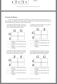 A punnett square simulates two organisms reproducing sexually, examining just one of the making punnett squares is a good way to get started understanding the fundamental concepts of genetics. Pin By Lmo On School Biology Worksheet Practices Worksheets Word Problem Worksheets
