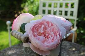 Wikipedia, the free encyclopedia [home phrases that include rose garden: Mesmerizing Home Garden Dasha S Dream Life