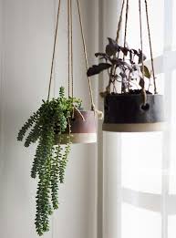 Pin By Marjolein Wouters On For The Home Hanging Plants Plants Hanging Plants Indoor