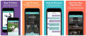 Dog apps can make your life as a pet parent much easier. 2019 Best Dog Apps Topdog Health