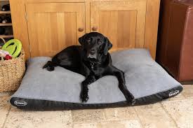 Memory foam beds for dogs are the perfect solution for an older dog with joint issues. Scruffs Chateau Orthopaedic Memory Foam Dog Mattress Bed