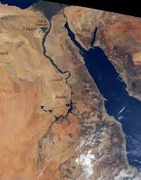 Image result for faiyum oasis egypt