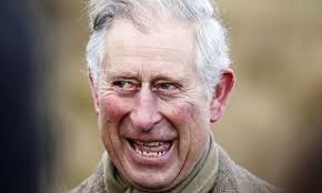 RICHARD KAY: Charles takes his next step as king-to-be