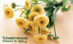 We offer same day local flower delivery as well as unique gift ideas to suit your gift giving needs. Underwood Flowers Gifts Llc Florists Retail Cheyenne Wy Originalyp Com