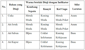 Jika air tersebut dimasak, maka akan menimbulkan kerak yang berwarna putih pada dinding panci; Laporan Praktikum Asam Basa Dengan Indikator Alami