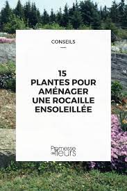 La rocaille est une scène paysagère montagnarde aménagée de rochers et de plantes à faible développement (arbustes et conifères nains dans des rocailles de taille importante, certains blocs peuvent atteindre plusieurs centaines de kilos. 15 Plantes Pour Rocaille Ensoleillee Notre Selection