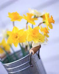 Spring Clean And Dream The Family Room Daffodils Anniversary Flowers Tin Flowers