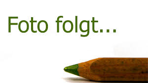 101 vorlagen für powerpoint kostenlos in deutscher version downloaden! Mache Mit Bildplatzhaltern Aus Deinen Powerpoint Folien Einen Echten Hingucker Cleverslide
