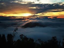  Menengok Keindahan Tahura Sultan Adam Negeri Di Atas Awan Awan Pariwisata Matahari Terbit