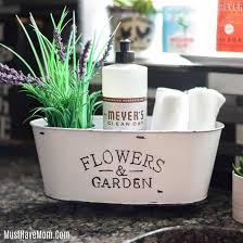I picked up two packets of seeds because i like planting seeds in pots to grow during the warmer months. Diy Farmhouse Sink Caddy Dollar Tree Crafts Must Have Mom