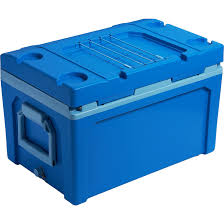 Stanley Adventure 50 qt Easy-Carry Cooler | Academy
