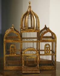 Bird In A Gilded Cage Book Gilded Wood Birdcage Bird Cages Bird Cage Bird Houses