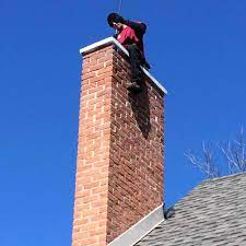 What you assume to be rats in your roof could be possums. Top 6 Best Chimney Sweeps In Toledo Oh Angi