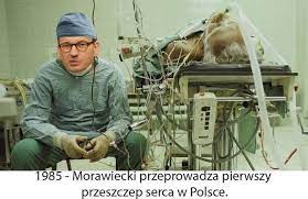 Z kolei memy o jarosławie kaczyńskim, wicepremierze i szefie pis powstają od dawna, ale w ostatnich tygodniach internet podbija zupełnie nowa seria. To Ja Mateusz Morawiecki Pod Ostrzalem Internautow Memy Gazetalubuska Pl