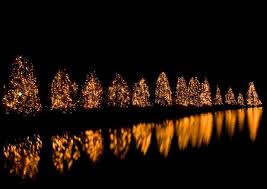 Christmas Lights Glow And Reflect Off The Lake In The Town Of Mcadenville Nc Christmas Scenery Christmas Town Christmas