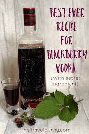 Recipe For Blackberry Vodka Recipe Blackberry Vodka Drinks Blackberry Recipes Infused Vodka Recipe