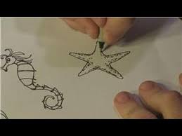 How To Draw Animals How To Draw Marine Life Youtube