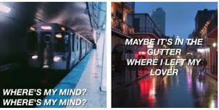 Where Is My Mind Maybe It S In The Gutter Bellyache Billie Eilish Billie Eilish Music Lyrics Billie