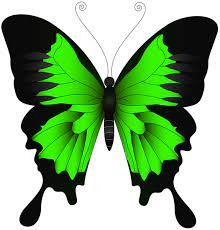 Green Butterfly Png Clip Art Image Butterfly Painting Butterfly Artwork Butterfly Watercolor