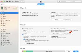 Jailbreaking just means porting this new, sort of bastardized version of the os on to your iphone. How To Unjailbreak The Iphone Ubergizmo