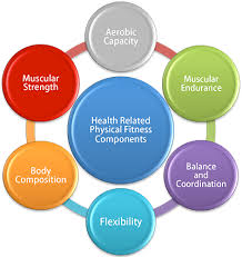 Cardiorespiratory endurance is the ability to carry out prolonged, large muscle, dynamic movements at a moderate to. Quotes About Fitness Components 25 Quotes