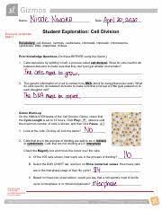 Cell division answer key vocabulary: Bl3 U2013 Ga 3 Student Exploration Worksheet Cell Division Gizmo Activity 1 2 Pdf Name Tunde Ajala Date Student Exploration Cell Division Course Hero