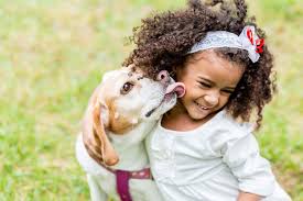 Policy terms and conditions may vary by state or province. The Pros And Cons Of Having Pet Insurance The Vet Is In