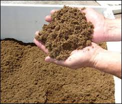 Image result for peat moss