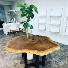 屋久杉 サロンテーブル テーブル ダイニングテーブル 一枚板 ダイニングテーブル