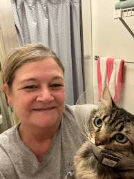 Lost Gray Tabby Cat Pablo in Pullman Area Near Rosauers