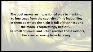 50+ भारत के आश्चर्यजनक तथ्य | amazing facts about india in. The Trees English Is Easy For 10th