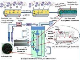 Is it 300 meter from the exam center? Application Of A New Ceramic Hydrophobic Membrane For Providing Co2 In Algal Photobioreactor During Cultivation Of Arthrospira Sp Sciencedirect