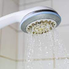 Is Your Showerhead Making You Sick Jelmar Archives Mold In Bathroom Bathroom Mold Remover Shower Heads