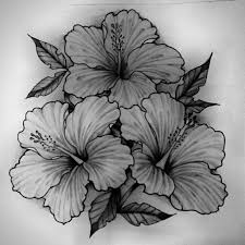 Viva Le Bbcheese Hibiscus Tattoo White Flower Tattoos Tattoos