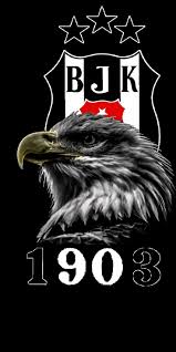 4k Besiktas Duvar Kagidi Wallpaper Kartal Duvar Cilgin Disi Kedi Kitap Duvar Kagidi